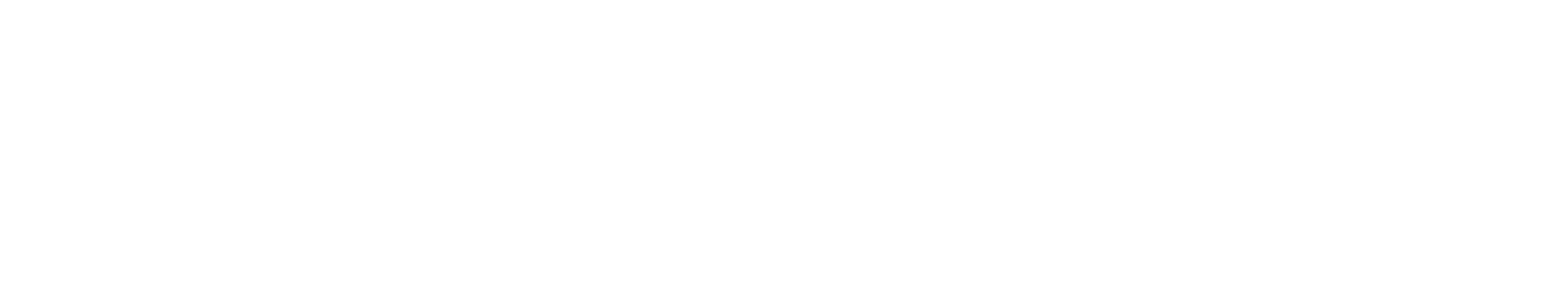 FINBOOT-Logo-White